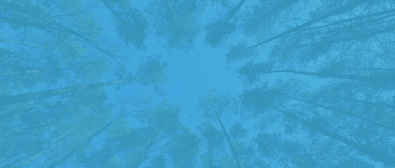 Website-Our-Approach-Card-Create-and-Implement